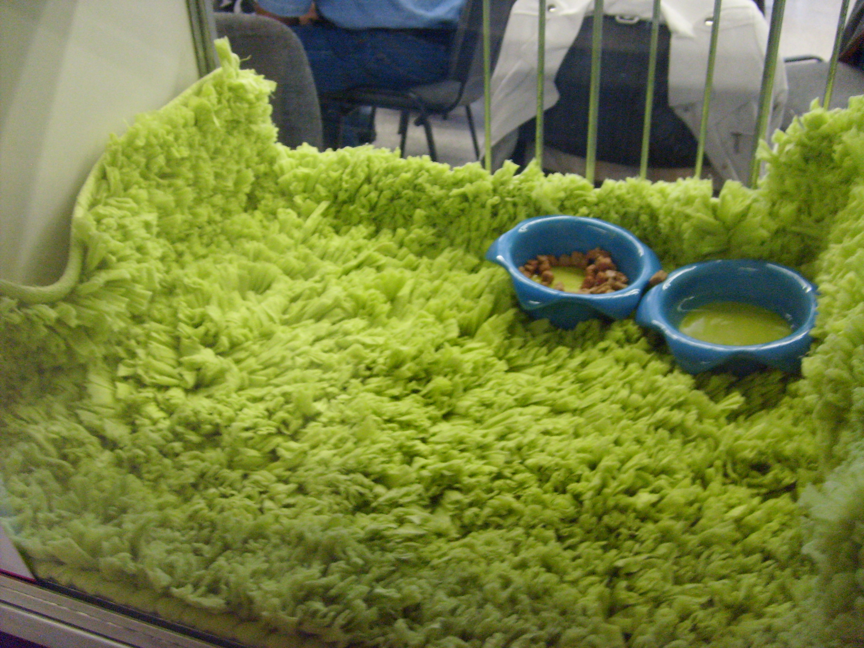 S6302351.JPG
