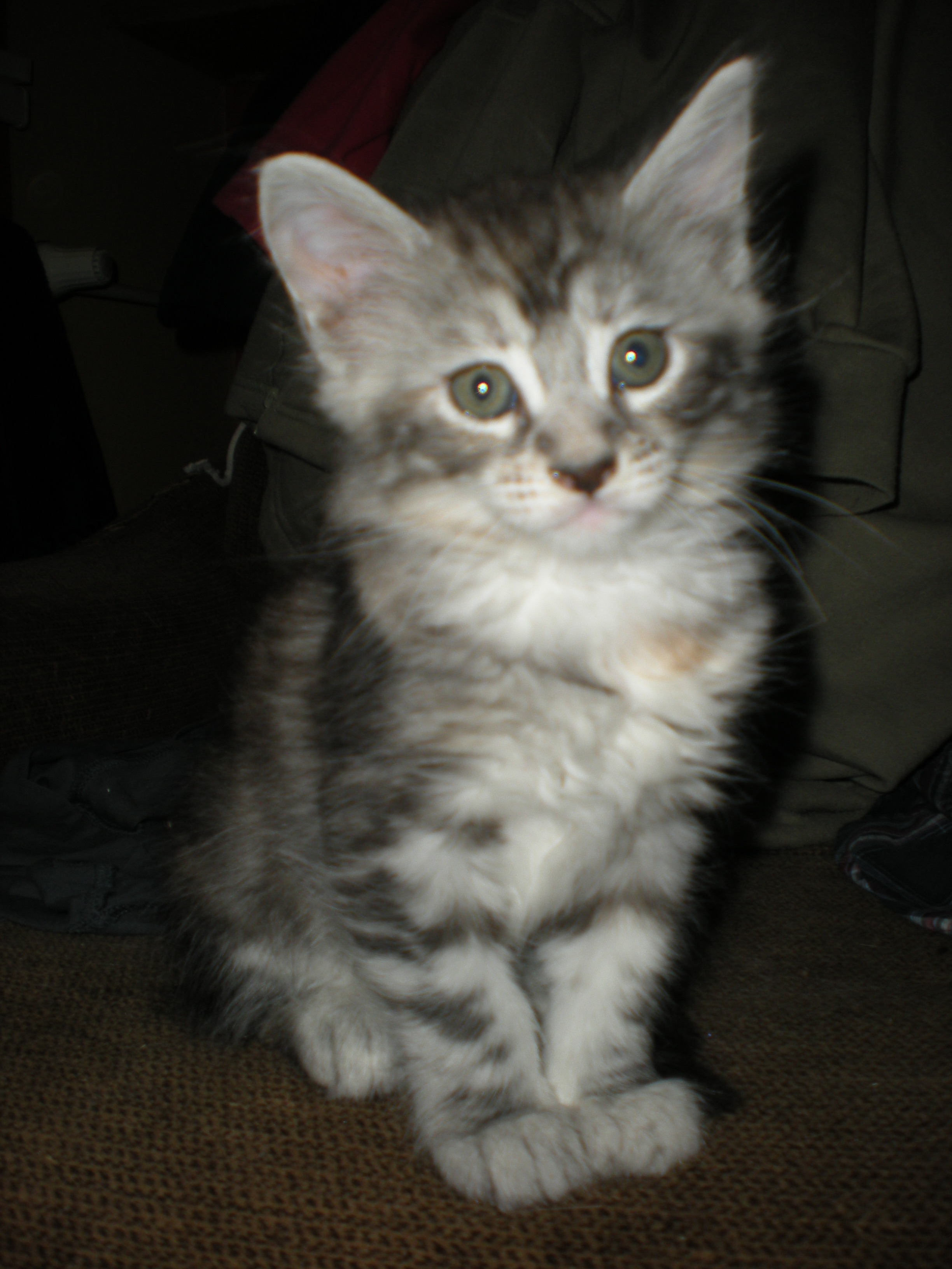 DSCN2187.JPG